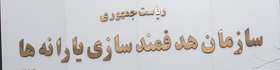 دولت به عنوان مبتکر قانون اجرای هدفمندی یارانه ها باید آن را به نتیجه برساند