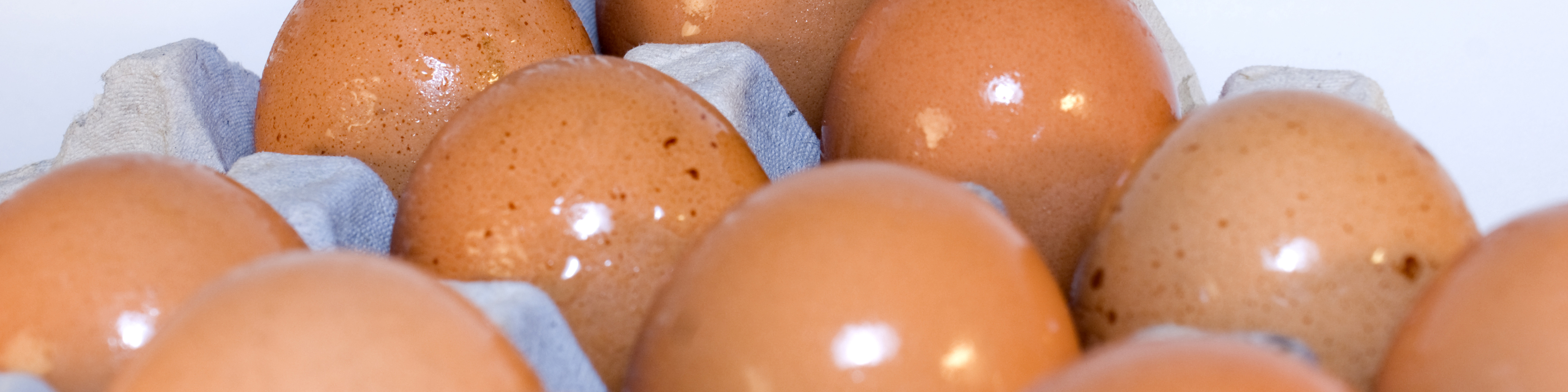 گرانی نهاده های دامی دقیقه ای شد