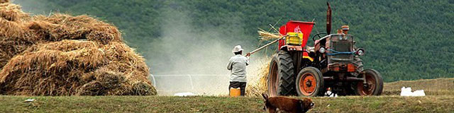 عرضه سبوس گندم قزاقستان در بورس کالای ایران