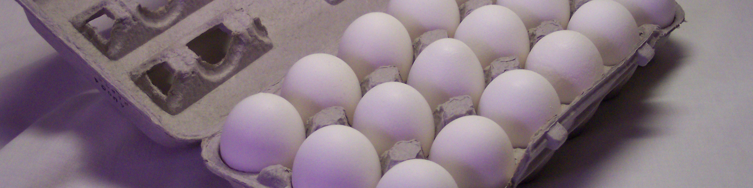 ضرر هزار تومانی تولید‌کنندگان در تولید هر کیلو تخم‌مرغ