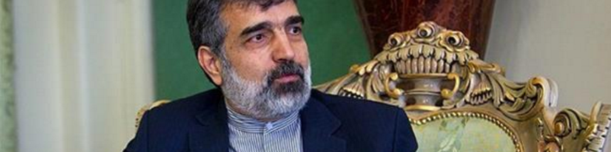 سخنگوی سازمان انرژی اتمی: عصر امروز کارهای ما توسط بازرسان آژانس راستی آزمایی می‌شود