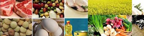 تدوین استاندارد موادغذایی با روسیه