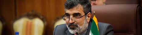 آخرین محموله کیک زرد فردا وارد کشور می‌شود