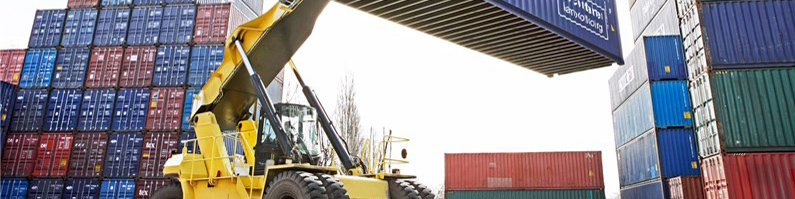 ریسک اعتباری ایران ۲ تا ۳ است/ بانکها واردات دوست هستند