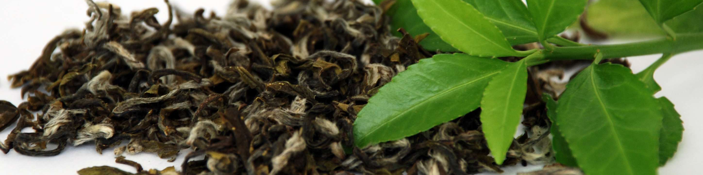 تولید چای هند ۲۱ درصد کاهش یافت