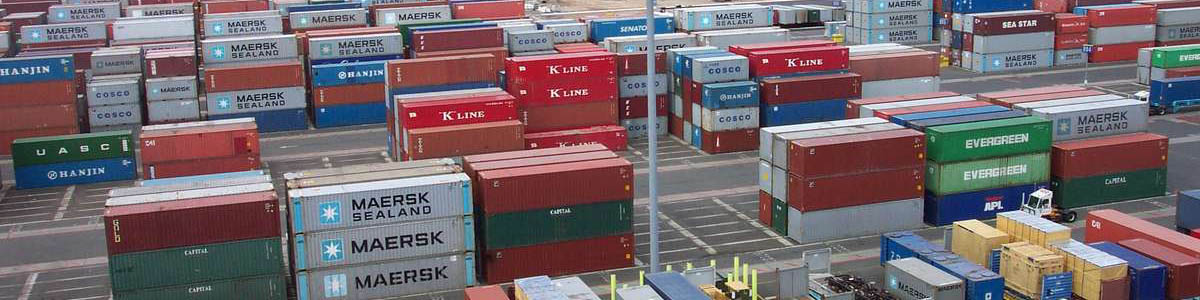 ضرورت تصریح در فرآیند ترخیص کالا و معرفی وارد کنندگان به سازمان حمایت