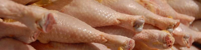 رئیس اتاق اصناف تهران: اصناف مقصر گرانی مرغ نیستند!