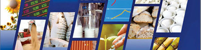 پیامدهای افزایش قیمت موادغذایی در جهان؟