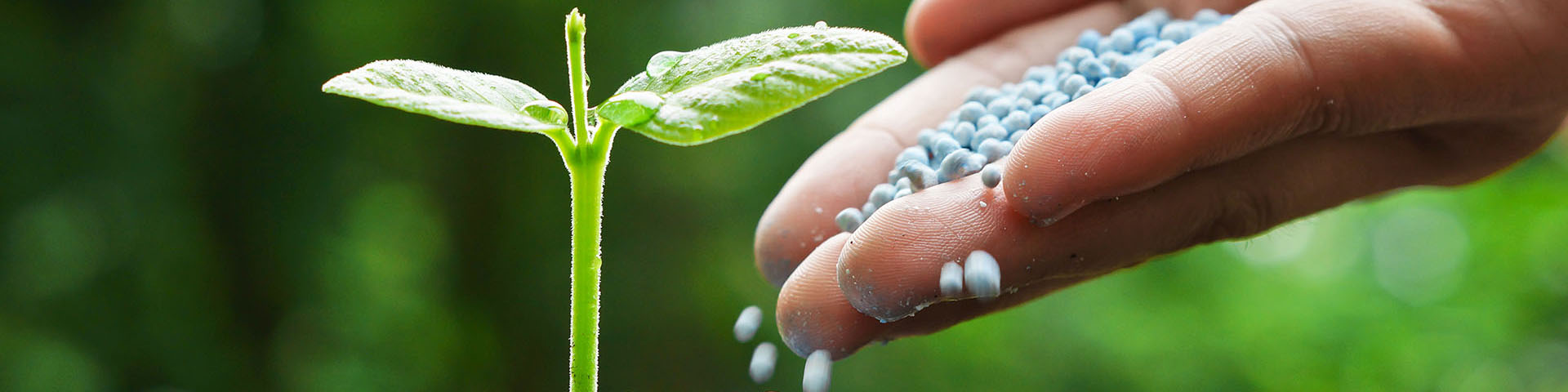 ۸ میلیون تن کود اوره در کشور تولید می‌شود