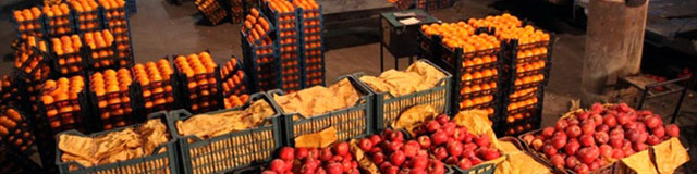 تدارک میوه شب عید از هم‌اکنون آغاز شد