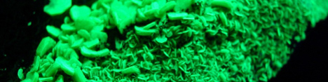 اورانیوم - Uranium