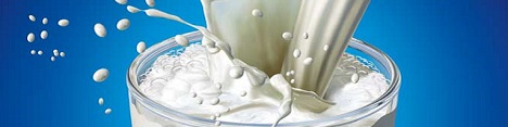 اتمام حجت اتحادیه دامداران برای تثبیت قیمت شیر خام و نهاده های دامی