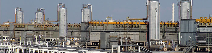 دلالان پتروشیمی بیشتر از تولیدکنندگانش سود میکنند