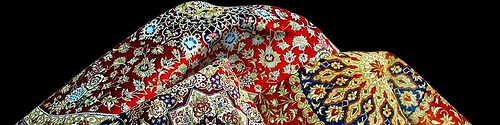 پالایش بیمه قالیبافان در زنجان ادامه دارد