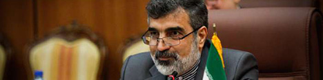کمالوندی: آب سنگین را با در نظر گرفتن مسائل استراتژیک و تجاری میفروشیم