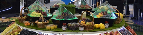 نمایشگاه بینالمللی میوه و سبزیجات ازبکستان