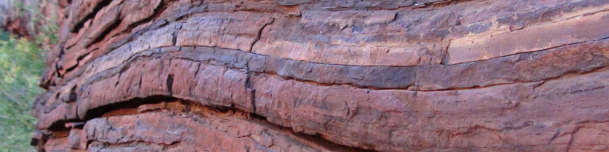 رشد 16 درصدی تولید کنسانتره آهن معادن بزرگ