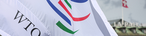 پیوستن به WTO چه سودی برای اقتصاد ایران دارد؟