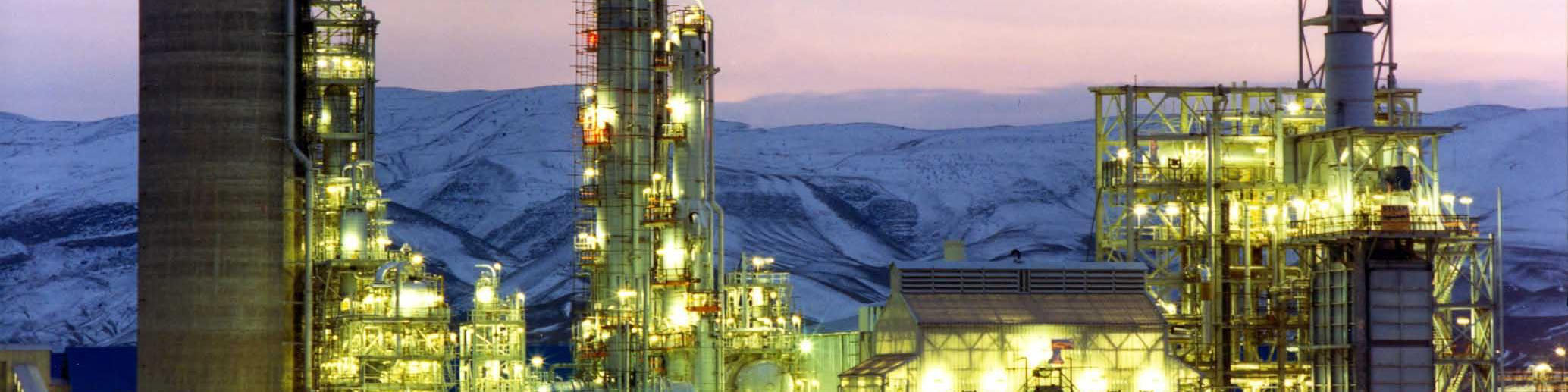 بلوک ۸۰ درصدی پتروشیمی دماوند دوباره عرضه میشود