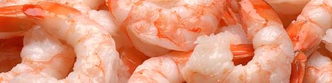 افزایش تولید 50 درصدی میگوی پرورشی درگناوه