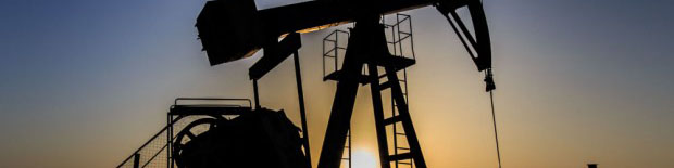 آرژانتین و لهستان در پی همکاری نفتی با ایران/ مدل جدید قراردادها برای داخلیها تشریح شد