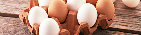 توافق جدید با عراق برای صادرات مرغ/ امکان افزایش صادرات مصالح ساختمانی و خدمات فنی و مهندسی