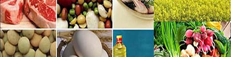 واکنش کمیسیون کشاورزی مجلس به کمتوجهی دولت به قانون افزایش بهرهوری در کشاورزی