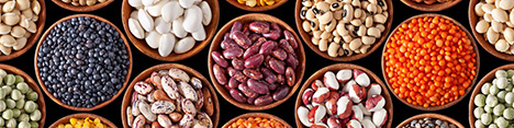 تولید 1000 تن حبوبات ارگانیک در سالجاری