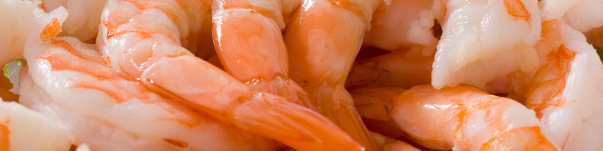 میگوی ایران در اروپا و آسیای جنوب شرقی