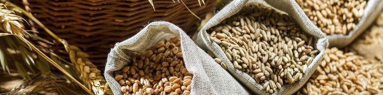 واردات سبوس گندم ایران از قزاقستان ۳ برابر شد