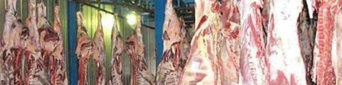 رئیس اتحادیه دامداران: گوشت باید ارزانتر باشد؛ دلالان نمیگذارند