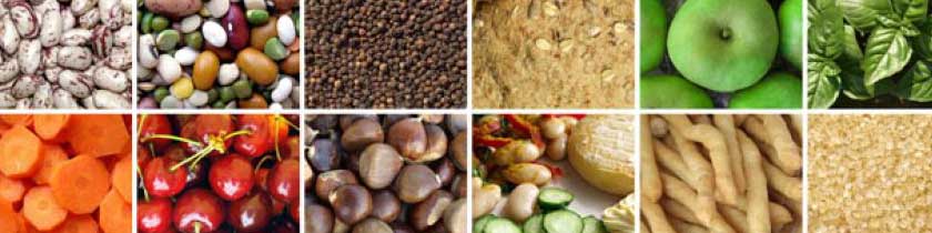 زرگران جزئیات صادرات محصولات غذایی در سال ۹۶ را اعلام کرد