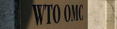 چشمانداز جدید WTO