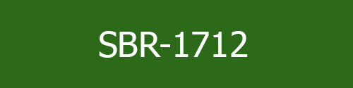 آنالیز مواد SBR-1712  پتروشیمی بندر امام
