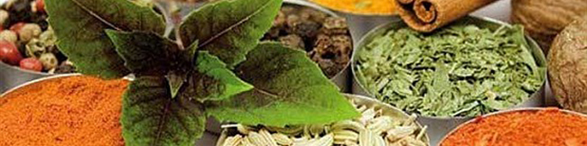 اتحادیه ملی گیاهان دارویی کشور تشکیل میشود