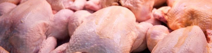 قیمت خرید تضمینی مرغ اعلام شد