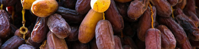 افزایش صادرات خرما نسبت به ماههای قبل/ انجمن خرمای ایران در انتظار ابلاغیه جدید آقای جهانگیری است