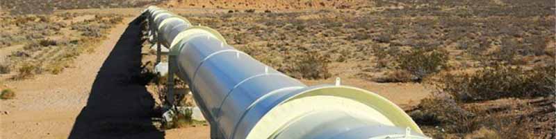اعضای GECF برنامهای برای مدیریت مشترک بازار گاز ندارند