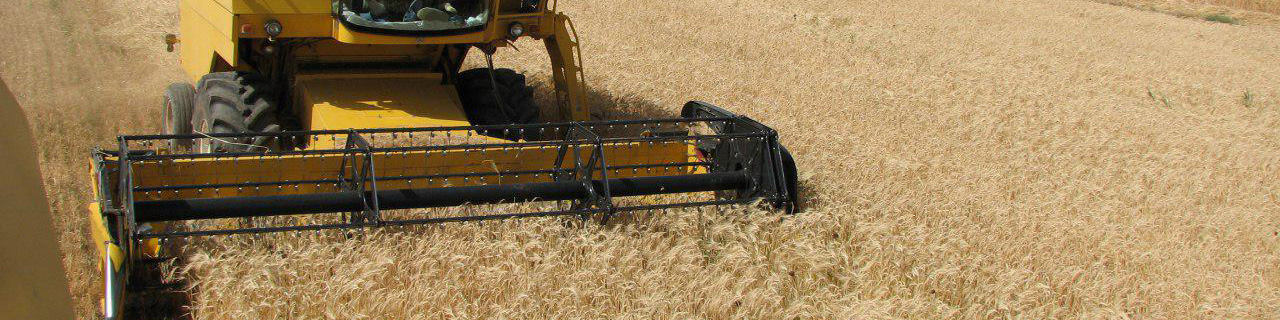 آمادگی ۱۷ هزار دستگاه کمباین غلات برای برداشت محصولات