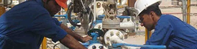 جلوگیری از خروج ارز در گرو حمایت از تولید داخلی