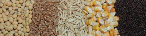 جزئیات سهمیه بندی جدید نهاده های دام و طیور/ فقط دامداران و مرغداران دارای شناسه یکتا نهاده دولتی میگیرند