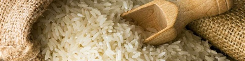 ضرورت واردات ۷۰۰ هزار تن برنج طی ۴ ماه آینده/ قیمت هر کیلو برنج هندی بالای ۲۰ هزار تومان