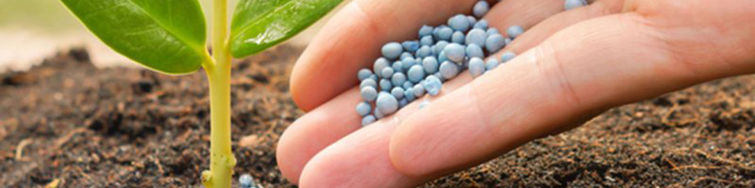 افزایش ۳۰ درصدی تحویل کود اوره به کشاورزان