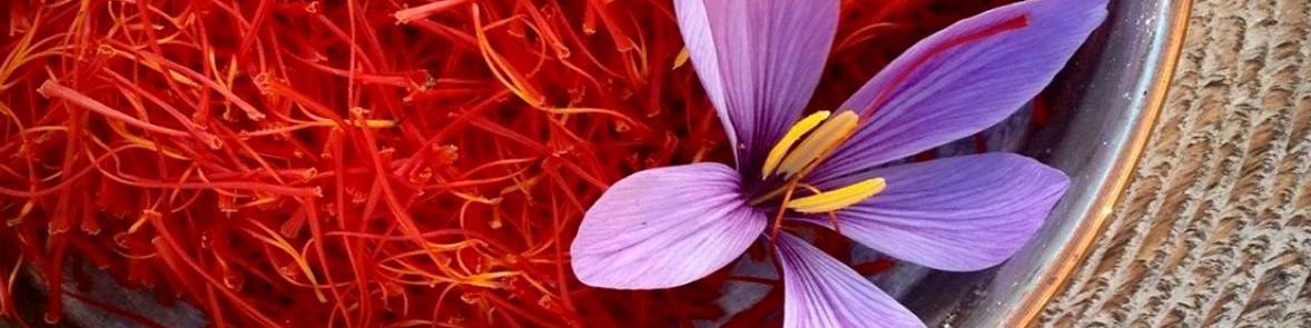 استمرار رشد ۳۰ درصدی صادرات طلای سرخ/ قیمت هر کیلو زعفران نگین ۱۴ میلیون تومان