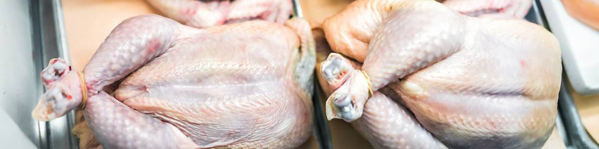 تکرار بیتدبیری در آستانه ماه مبارک رمضان/ مرغ بازهم گران میشود؟