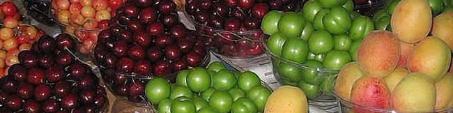 گیلاس، پیشتاز قیمت در بین سایر میوهها