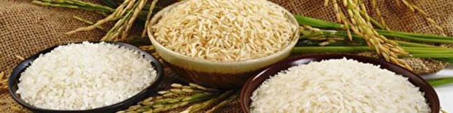 رکود و ثبات قیمت در بازار برنج،حبوبات و چای/توزیع برنج ۱۳هزار تومانی توسط شرکت بازرگانی دولتی ایران
