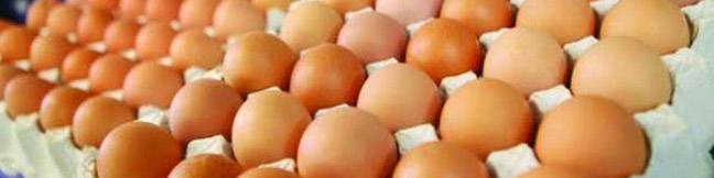 قیمت مصوب مرغ و تخم مرغ