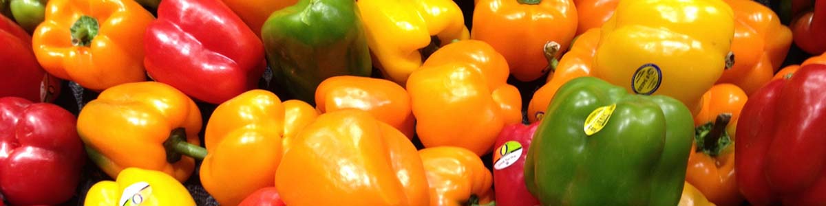 از سرگیری صادرات فلفل دلمهای به روسیه