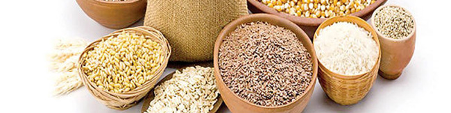 هشدار درباره اتخاذ سیاستهای نادرست در واردات کالاهای اساسی